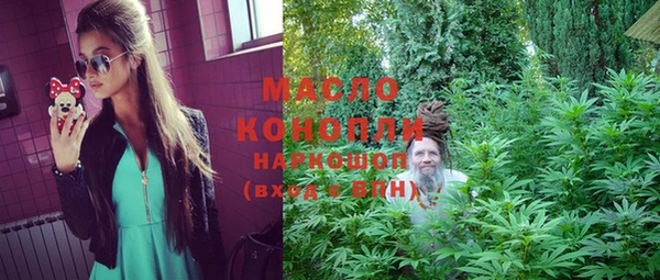 молекула духа Карпинск