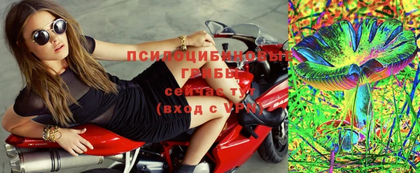 соль ск Касимов