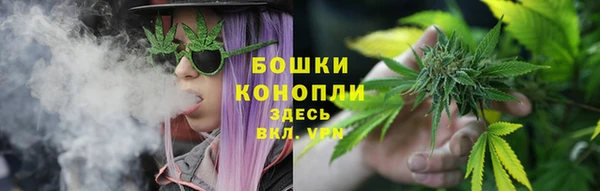 стаф Карталы