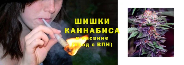 соль ск Касимов