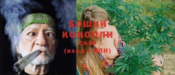 молекула духа Карпинск