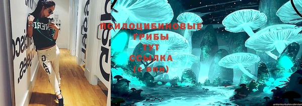 молекула духа Карпинск