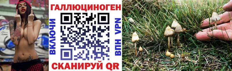 Галлюциногенные грибы ЛСД  Купить закладки  Калтан 