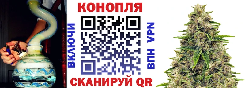 Конопля Bruce Banner  Купить где  Калтан 
